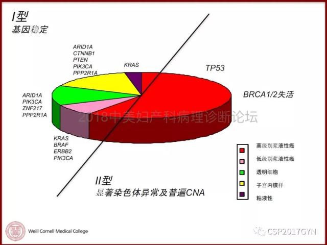 非粘液性卵巢肿瘤的诊断挑战