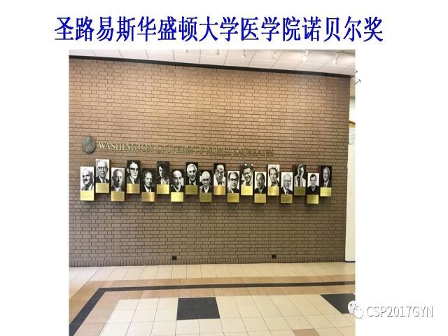 妇科肿瘤病理新进展——子宫间叶肿瘤进展