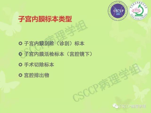 宫颈与子宫病变病理标本取材