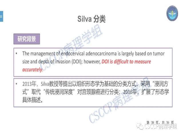 黄文亭 张询：宫颈腺癌分类介绍