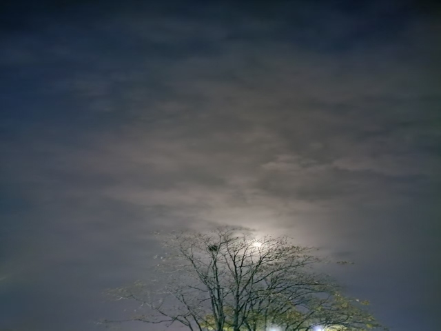 周日上班都忙啥 周日上班都忙啥