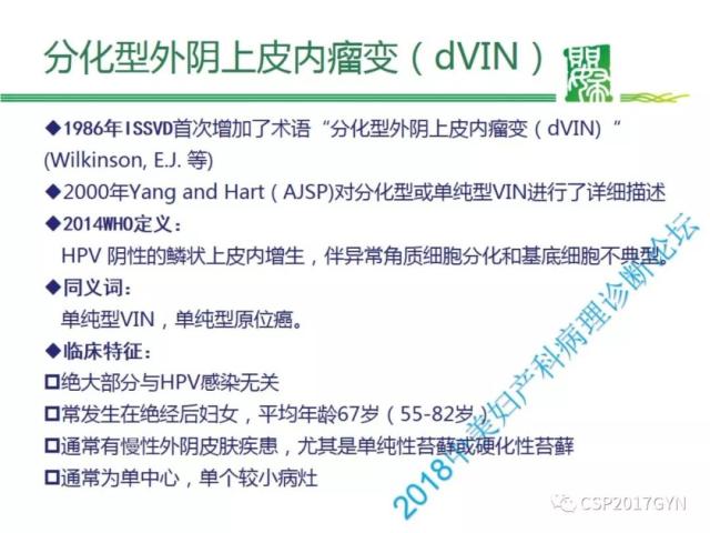 非HPV相关的外阴鳞状细胞肿瘤