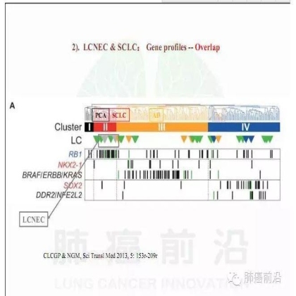 肺癌新分期和分类--临床和研究启示