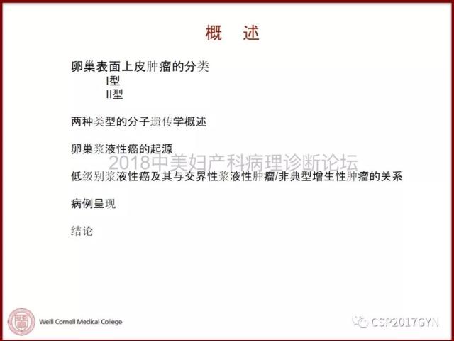 非粘液性卵巢肿瘤的诊断挑战