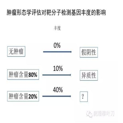 肿瘤精确医疗与分子病理检测
