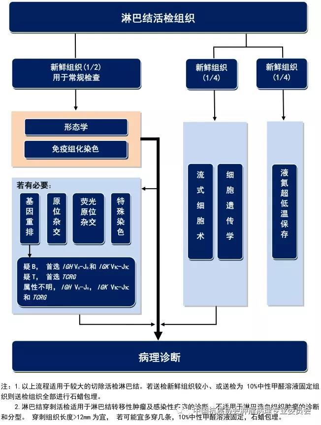 肿瘤病理规范化诊断标准 第2部分:淋巴组织肿瘤病理诊断标准 肿瘤病理规范化诊断标准 第2部分:淋巴组织肿瘤病理诊断标准