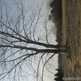 2012-12-10