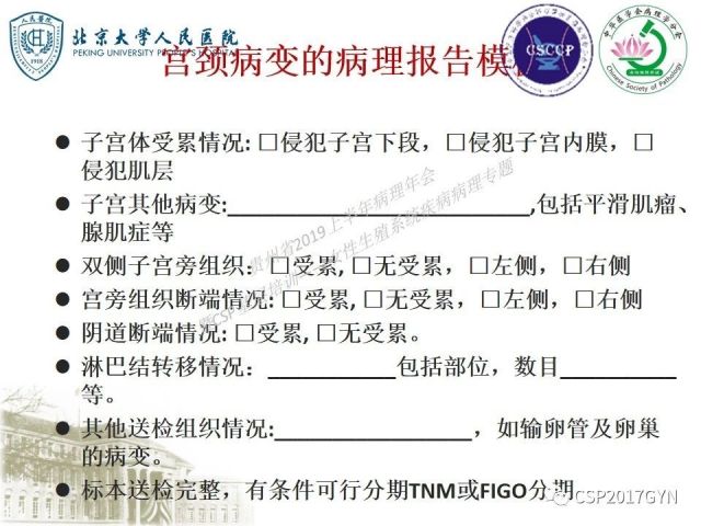 中华病理学会基层培训遵义站讲座（三）——宫颈鳞状上皮病变的病理诊断与鉴别诊断