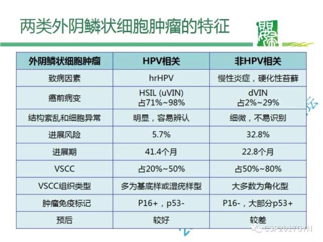 非HPV相关的外阴鳞状细胞肿瘤