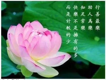 《非妇科 脱落细胞病理学》书籍即将编写完毕