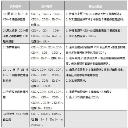 淋巴瘤病理诊断中的抗体选择
