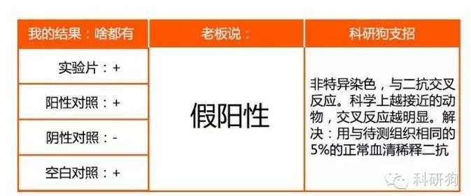 9.JPG 那些年做过的免疫组化