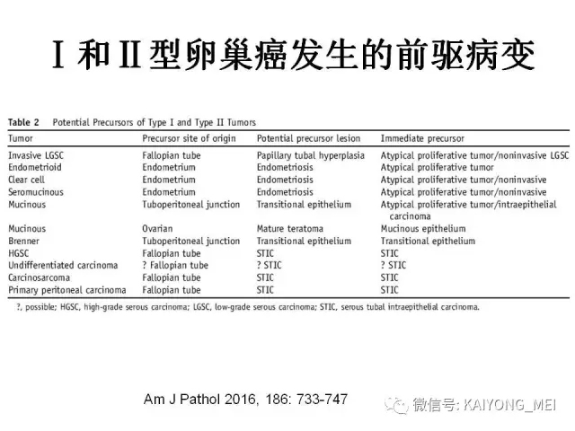 卵巢癌的病理诊断新进展（一）
