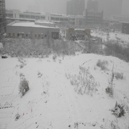 每年的第一场雪