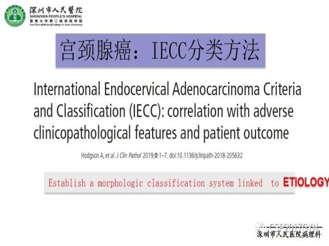 2019USCAP妇科病理热点介绍