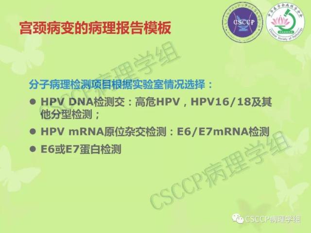 宫颈与子宫病变病理标本取材