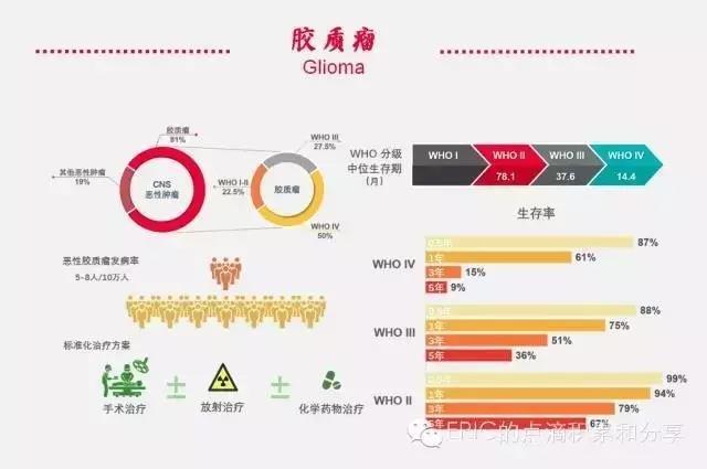 一图读懂胶质瘤分子病理