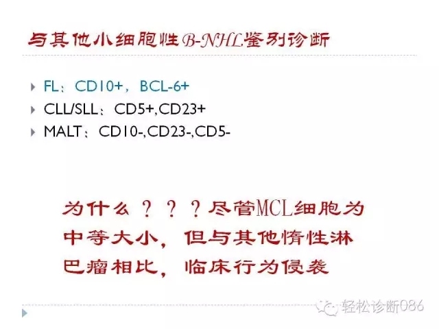 关于套细胞淋巴瘤的总结课件