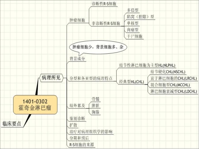 1401-0302 霍奇金淋巴瘤.学习