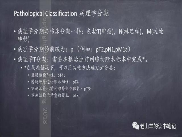 AJCC第8版 前列腺癌分期 之 病理学要点