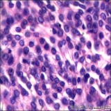 2012-06-06