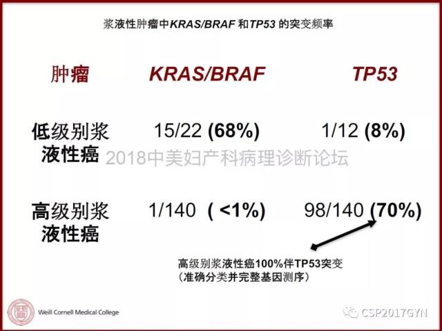 非粘液性卵巢肿瘤的诊断挑战