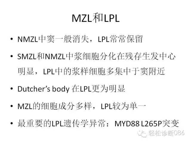 边缘区淋巴瘤（附小B细胞NHL鉴别诊断）