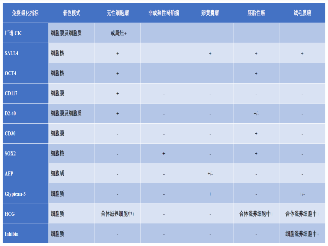 卵巢生殖细胞肿瘤简述（四）