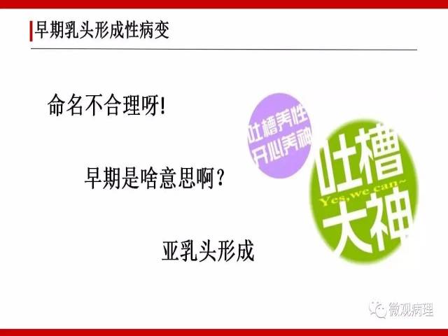 泌尿课程/尿路上皮病变的基本生长方式