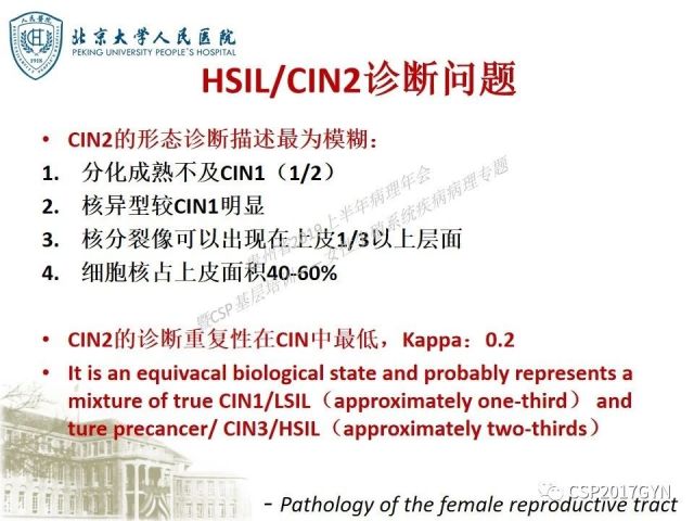 中华病理学会基层培训遵义站讲座（三）——宫颈鳞状上皮病变的病理诊断与鉴别诊断