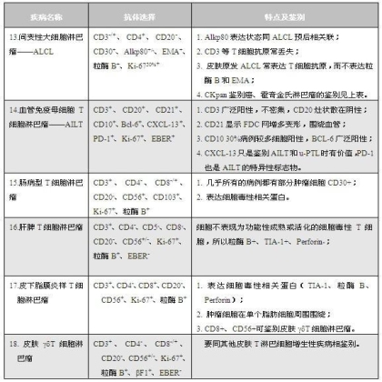 淋巴瘤病理诊断中的抗体选择