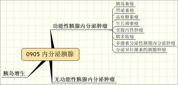 0905-00  内分泌胰腺.学习