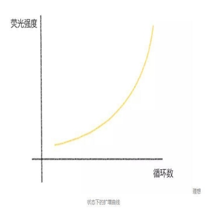 读图 | qPCR那些奇奇怪怪的曲线都代表啥？