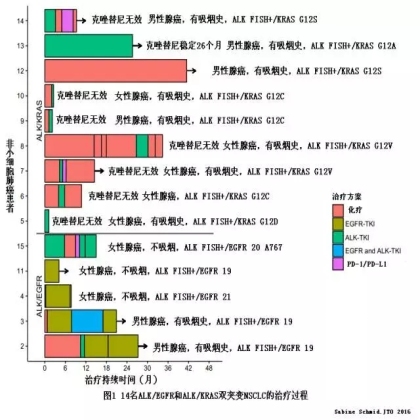 ALK/EGFR和ALK/KRAS双突变NSCLC