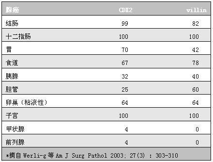 腺癌中CDX2和villin中度强度以上阳性表达率