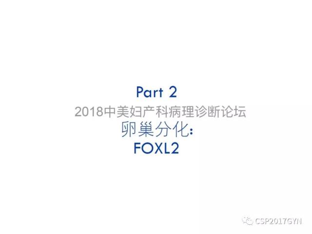 女性生殖道发育