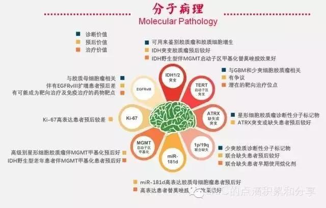 一图读懂胶质瘤分子病理