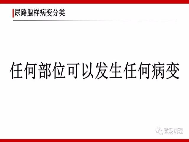 泌尿课程/尿路腺样病变的诊断要点