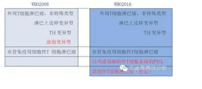2016年版WHO淋巴瘤分类更新要点——黄雨华