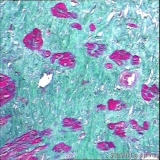 2012-08-12
