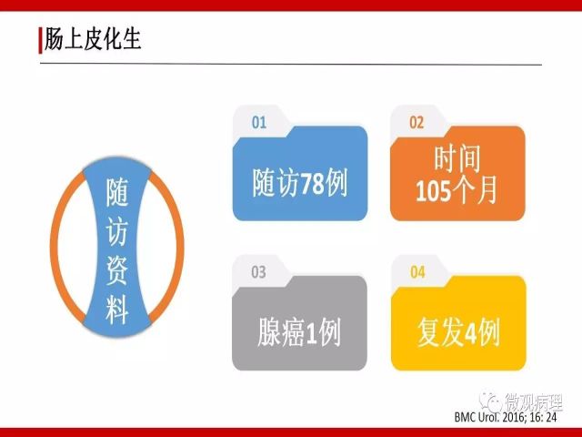 泌尿课程/尿路腺样病变的诊断要点