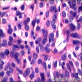 2012-06-06