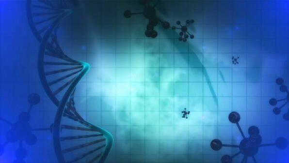 非编码RNA——沉默世界的神奇调控