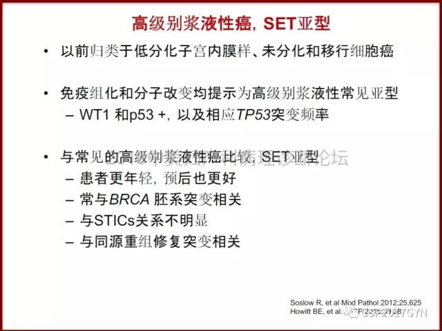 非粘液性卵巢肿瘤的诊断挑战