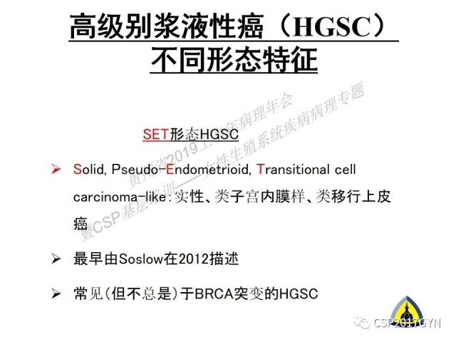 中华病理学会基层培训遵义站讲座（一）——卵巢和输卵管浆液性肿瘤的诊断和鉴别诊断
