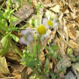 2012-12-10