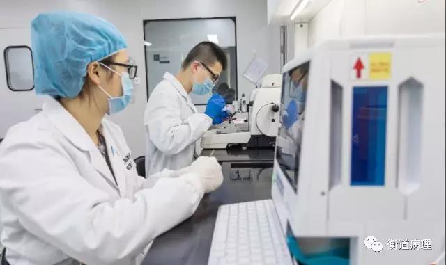 图片故事|我是一名病理技师