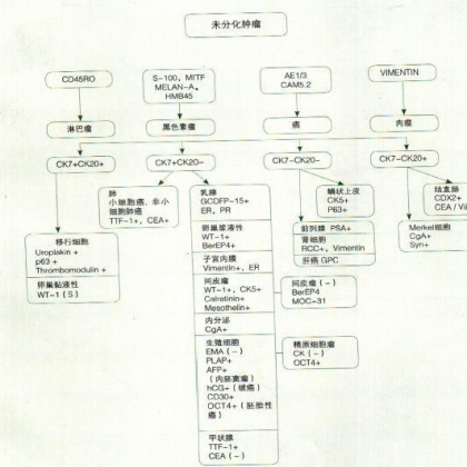未分化肿瘤免疫组化标记物诊断示意图