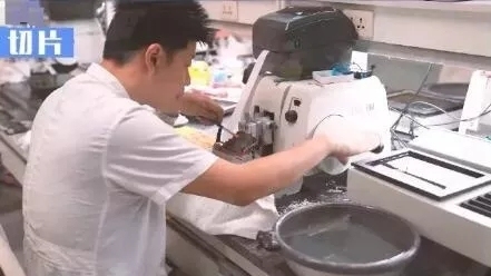 【名医】是不是肿瘤怎么判断?揭秘病理报告出炉全过程! 【名医】是不是肿瘤怎么判断?揭秘病理报告出炉全过程!