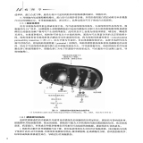 默认相册